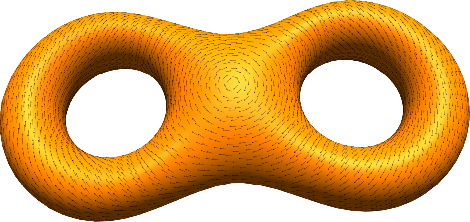 A double torus with a swirling tangent vector field.